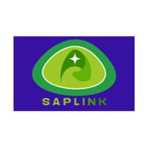 Home action fire client logos 5 copy